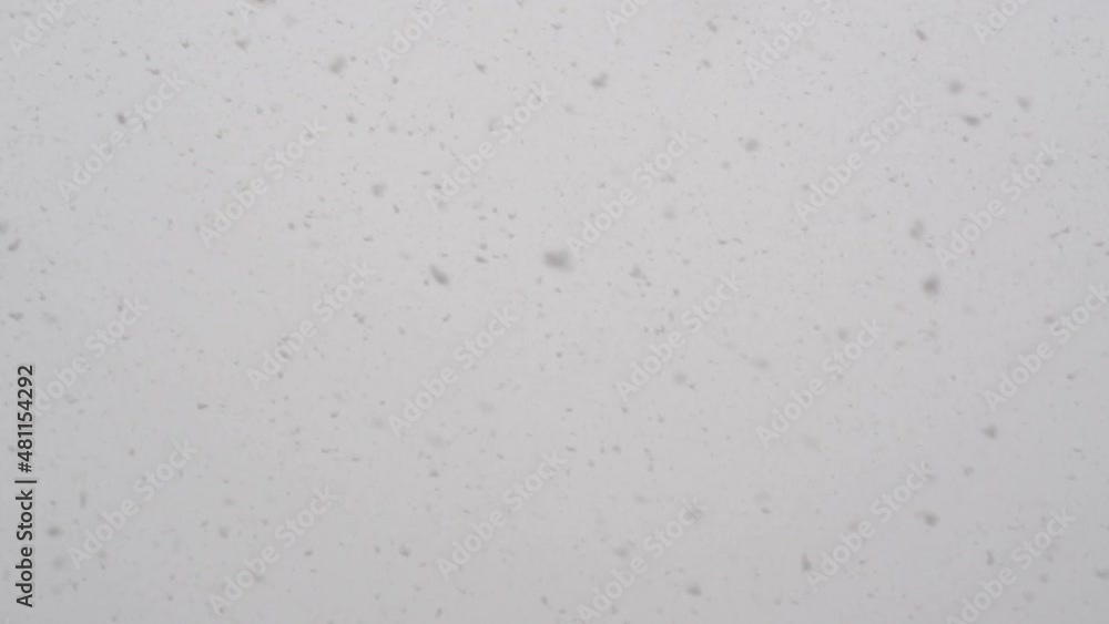 Snowflakes flight in a snowstorm. In front of the white sky. 120 FPS. Snowflakes flight in a snowstorm. In front of the white sky. 120 FPS.