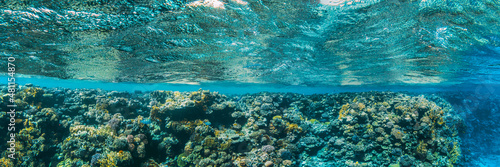 Fototapeta Naklejka Na Ścianę i Meble -  a panorama underwater coral reef on the red sea