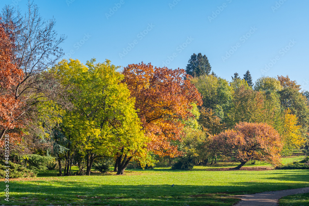 Beautifully colored trees with autumn leaves on a sunny day and a clear blue sky in the background.
Picturesque autumn landscape from a city park, Sofia, Bulgaria, Europe.