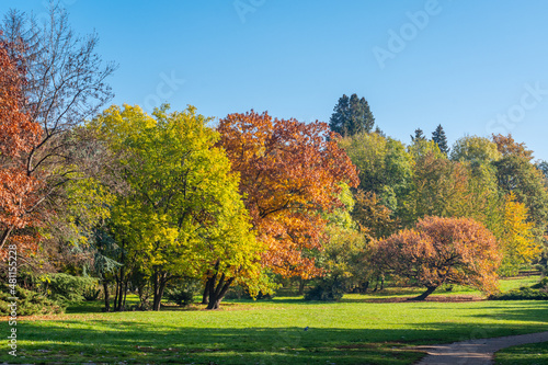 Beautifully colored trees with autumn leaves on a sunny day and a clear blue sky in the background. Picturesque autumn landscape from a city park, Sofia, Bulgaria, Europe.