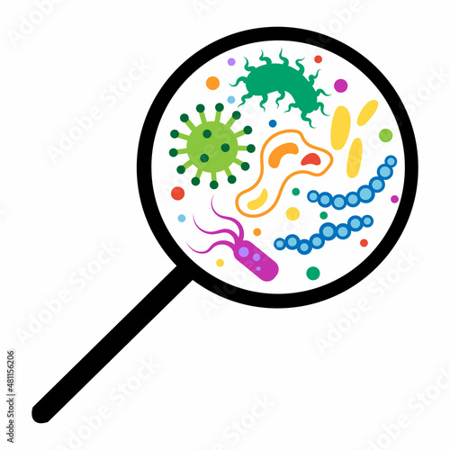 Cartoon bacteria and virus under a magnifying glass. Viruses, infection germ and disease bacteria under rejuvenating glass. Microorganisms circle vector illustration. Researching microbes and illness 