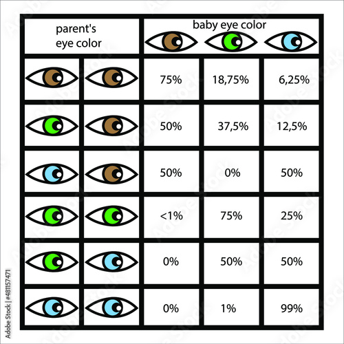 genetics and eye color baby icon vector illustration, eps 10