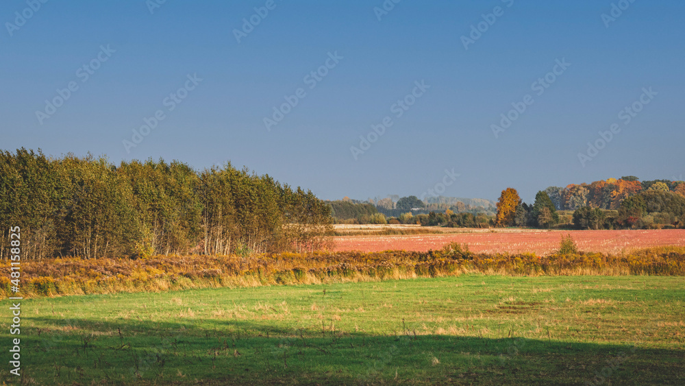 green field, blue sky, forest with autumn foliage green field, blue sky, forest with autumn foliage
