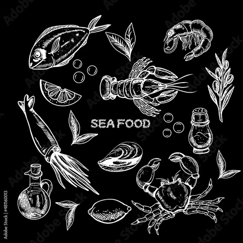 Vintage sea food  vector illustration. Hand drawn with ink. Vintage seafood design template. restaurant menu poster. Engraved style image