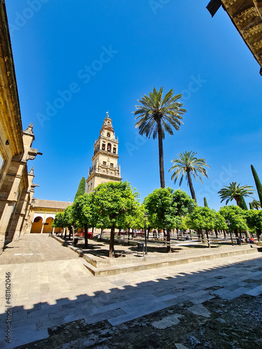 Patio de los Naranjos or "Courtyard of the Orange Trees", Mosque–Cathedral of Córdoba - Spain
