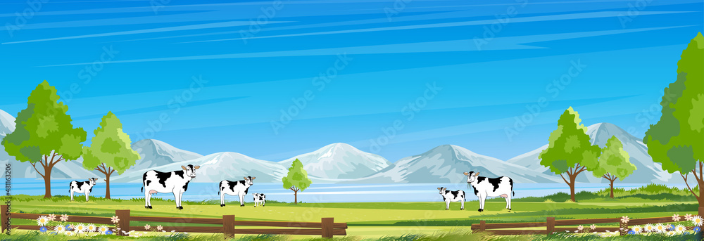 Rural farm landscape with green fields and barn animals cows, hill with blue sky and clouds, Vector cartoon Spring or Summer landscape, Eco village or Organic farming at countryside