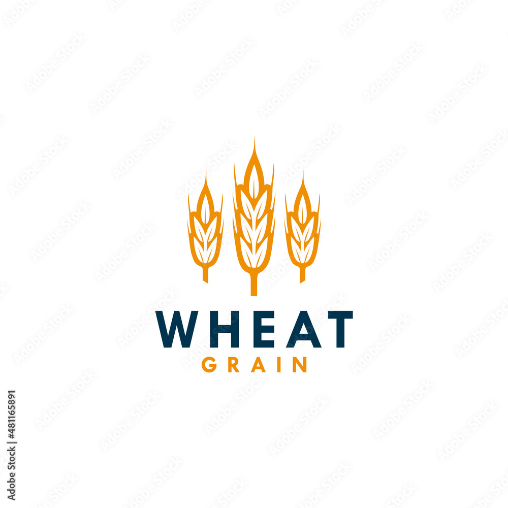 Yellow Wheat rice grain logo vector illustration Yellow Wheat rice grain logo vector illustration
