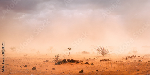 Climate catastrophe dusty sandstorm in African desert Fototapet
