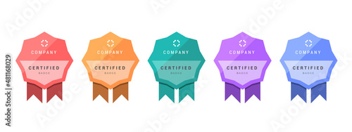 Logo badge for certificate technical, analyst, internet, data, conference, etc. Digital certified logo verified achievements company or corporate with geometry ribbon design. Vector illustration.