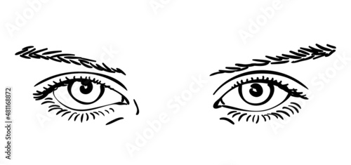Sketch of beautiful eyes and eyebrows of preteen girl, Vector close up isolated, Hand drawn illustration