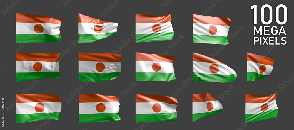Niger flag isolated - different realistic renders of the waving flag on grey background - object 3D illustration