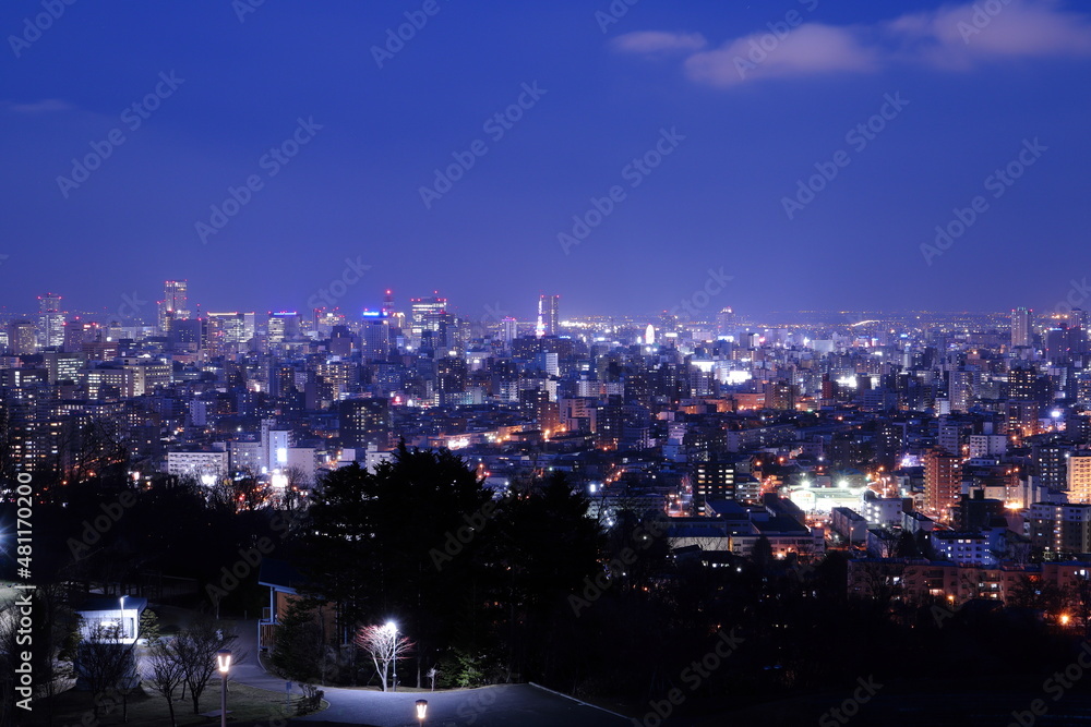 Obraz premium 旭山記念公園から見た札幌の夜景