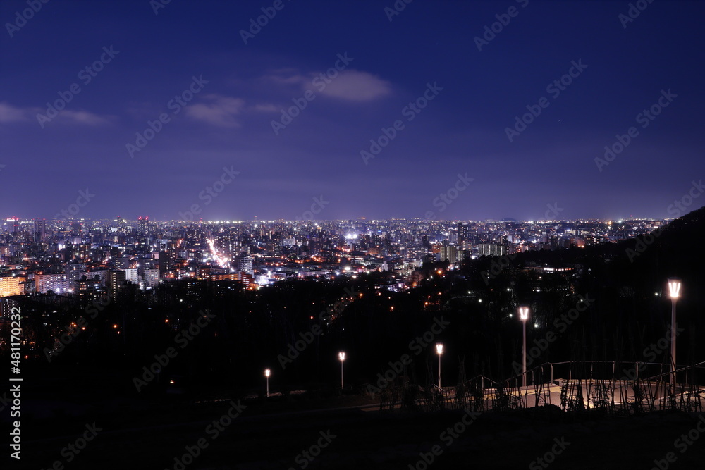 Fototapeta premium 旭山記念公園から見た札幌の夜景