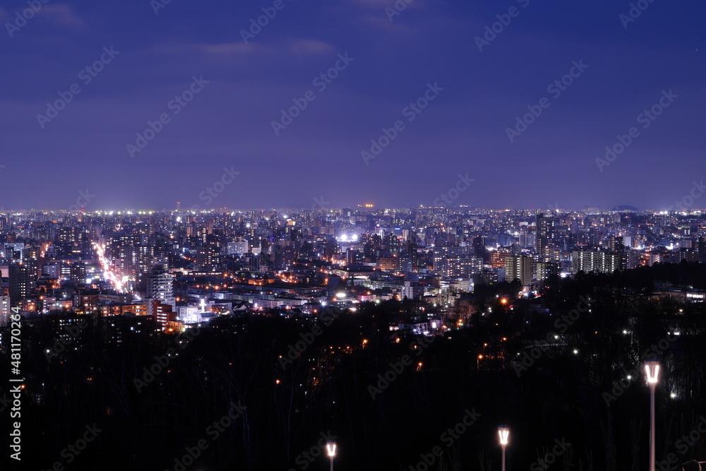 Fototapeta premium 旭山記念公園から見た札幌の夜景