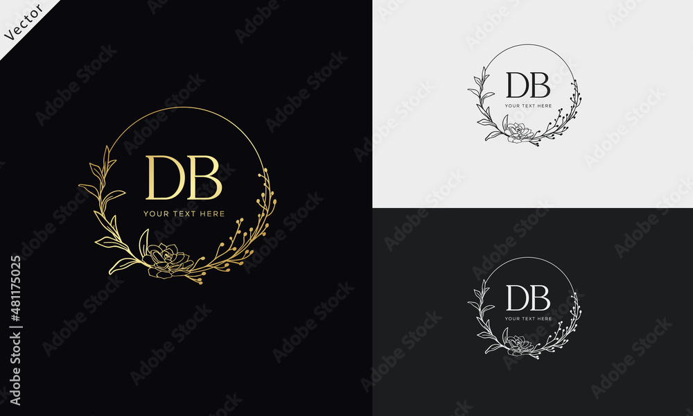 DB BD Signature initial logo template vector