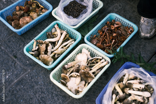 All kinds of mushrooms in the basket on the ground