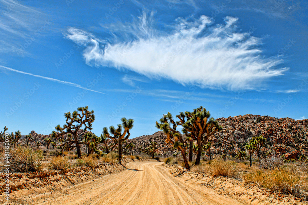 Looking down a long dirt road in Joshua Tree desert Park in California Looking down a long dirt road in Joshua Tree desert Park in California
