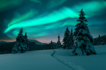 Aurora borealis. Northern lights in winter forest. Sky with polar lights and stars. Night winter landscape with aurora and pine tree forest. Travel concept