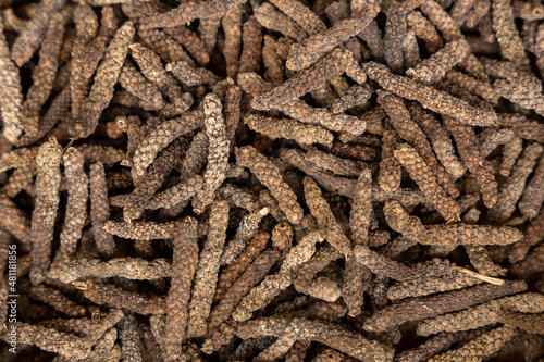 Dried long pepper, piper longum background and texture, Top view flat lay organic Long pepper dried fruit piper longum. photo