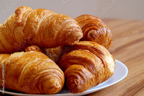 Four beautiful freshly prepared croissants with a crispy crust lie on a white plate