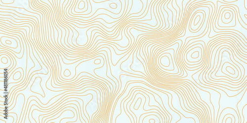 White wave paper curved reliefs abstract background  Abstract topographic contours map background  Vector contour topographic map background. Topography and geography map grid abstract backdrop.