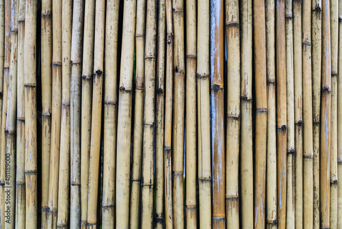 Old brown tone bamboo simple wall or Bamboo fence texture background for interior or exterior design vintage tone. Brown bamboo stick pattern backdrop. Local area urban house protection from thief.