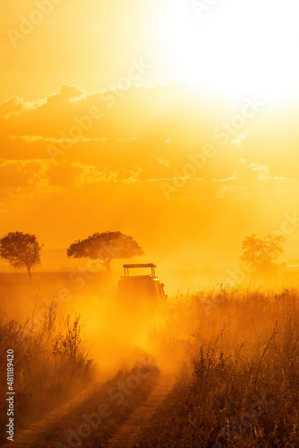 Sunset in Serengeti National park (ID: 481189420)