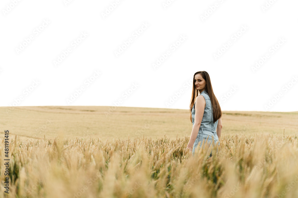 a young girl is in a huge wheat field and touches the ears of wheat. organic wheat. large argar field. agricultural business. girl walking on wheat a young girl is in a huge wheat field and touches the ears of wheat. organic wheat. large argar field. agricultural business. girl walking on wheat