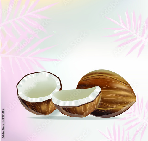Coconut and palm leaves Vector realistic. Fresh sliced coconut fruit shells. ...