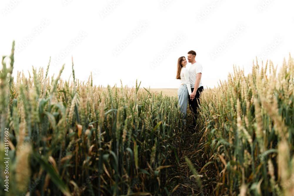 a couple in love stands among a wheat field and hold hands. a guy and a girl are walking in nature. vacation outside the city a couple in love stands among a wheat field and hold hands. a guy and a girl are walking in nature. vacation outside the city