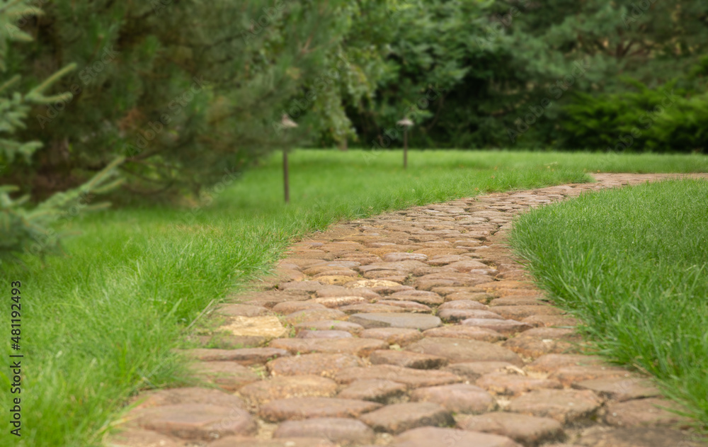 Stone path in the park. A curve in the road leading into the distance Stone path in the park. A curve in the road leading into the distance