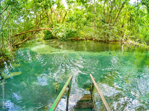 Canvas Print green lake inside woods, at Nobres, Mato Grosso, Brazil