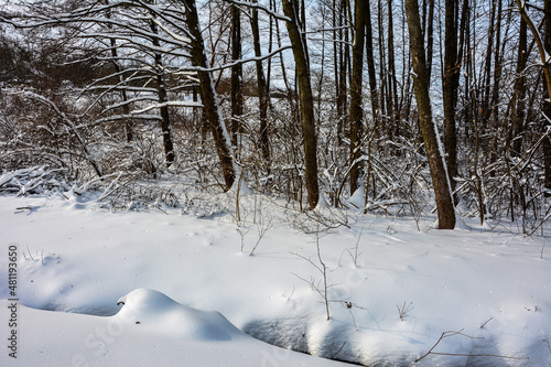 Snow alley in winter forest .Winter landscape at sunset © wiha3