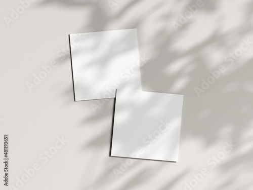 Two square cards mockup in boho, invitation mockup, greeting card on beige background, 3d render