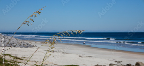 Marineland is located just south of St. Augustine on scenic A1A. 