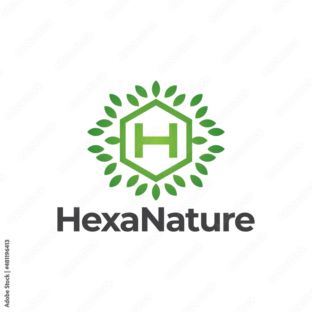 letter H hexagon nature logo template letter H hexagon nature logo template