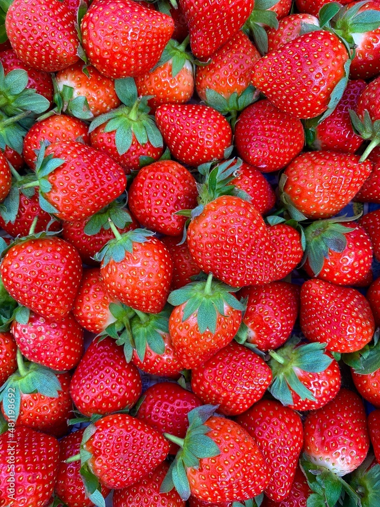 Close-up photo of strawberry in market. Fruit background and texture. Healthy life and harvest. Close-up photo of strawberry in market. Fruit background and texture. Healthy life and harvest.