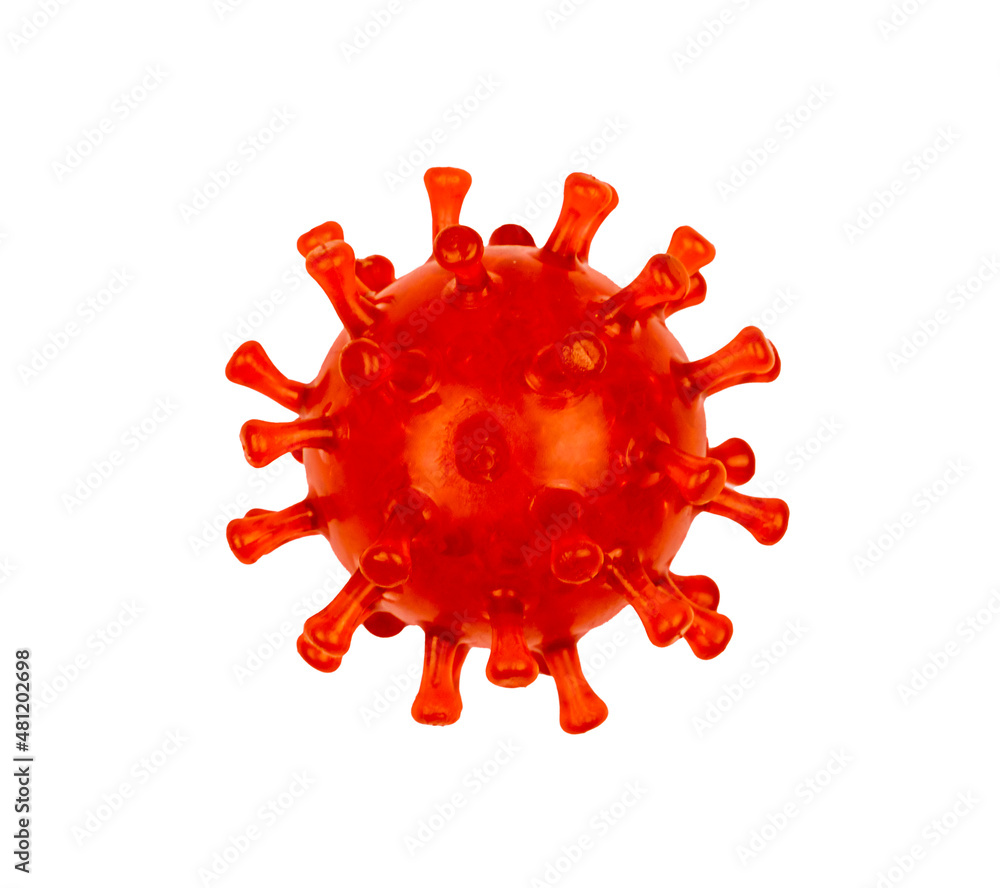 Coronovirus photo on a white background, Isolate Coronovirus photo on a white background, Isolate
