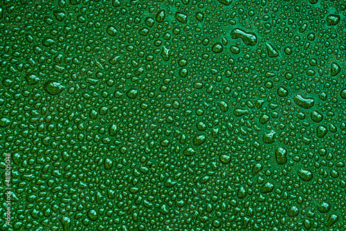 Drops, drips, blobs, beads, dribbles of water on the green brilliant surface. Monochrome macro or closeup background or texture