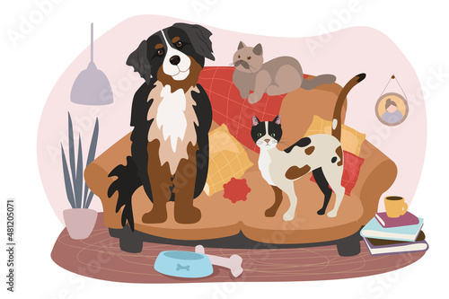 Cute pets sitting on sofa concept background