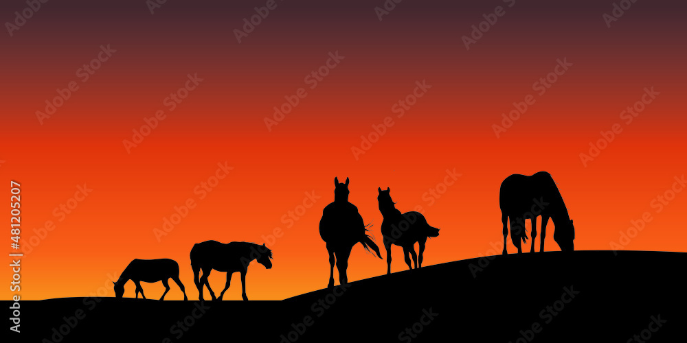 Fototapeta premium Herd of horses grazing on meadow in sunset vector illustration 