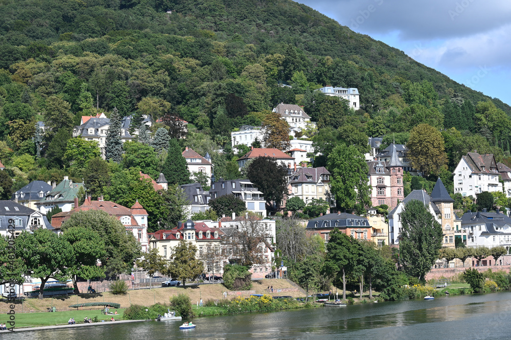 Villenviertel am Neckarufer in Heidelberg