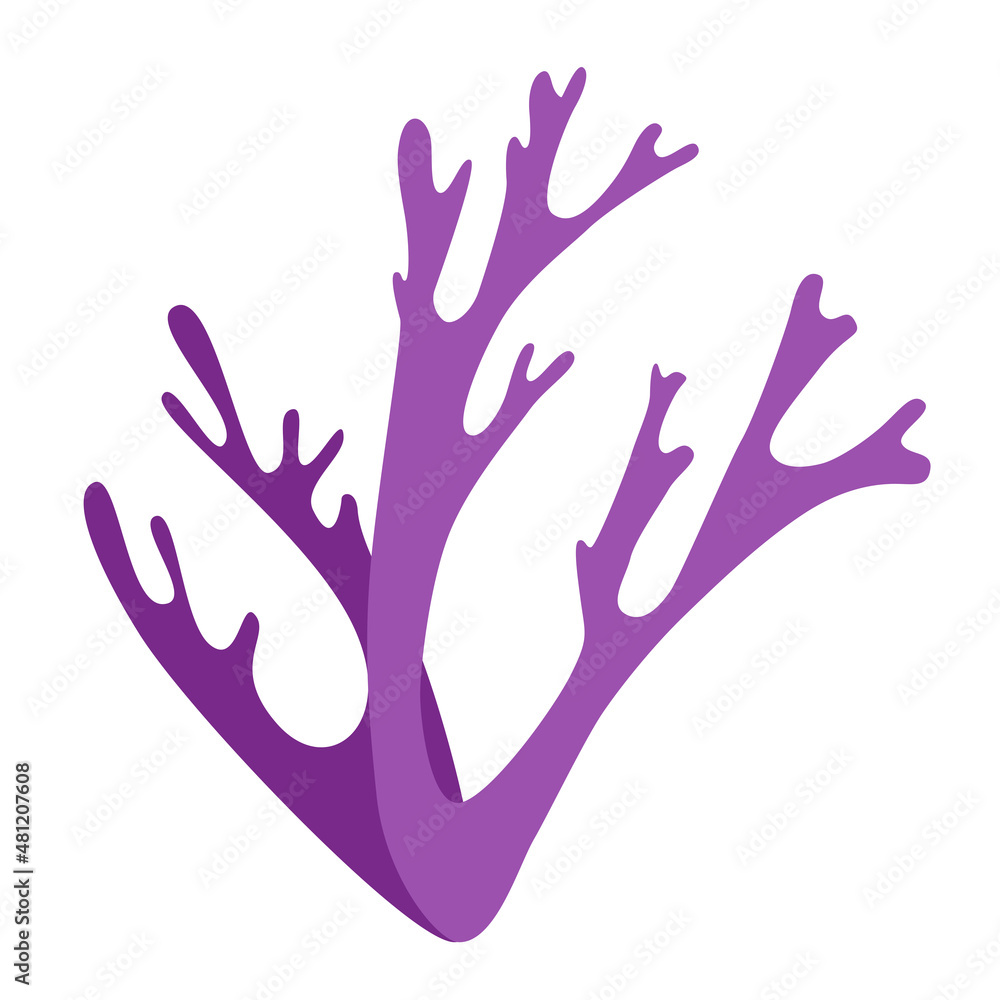 Algae abstract icon purple plant Algae abstract icon purple plant