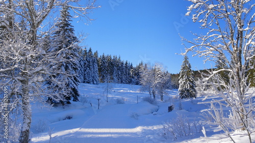 Winterwanderweg im Langenbachtal beim Haldenköpfle
