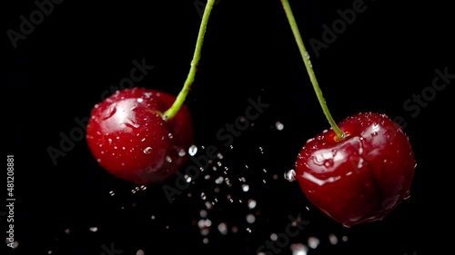 Cherry Fruits on Stem Colliding and Splashing Water Drops in Slow Motion 1000fps on the Black Background