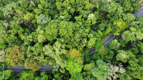 Aerial photo scenic Road In The Rainforest