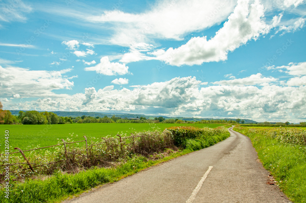 Springtime countryside road in the UK.