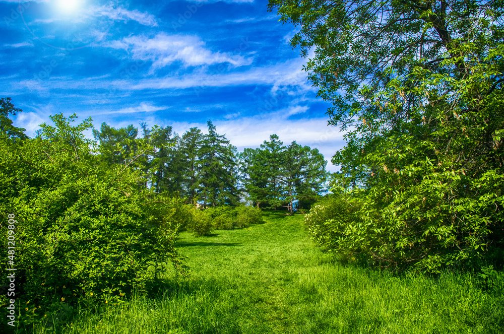 landscape in green colors against a blue sky on a clear sunny day