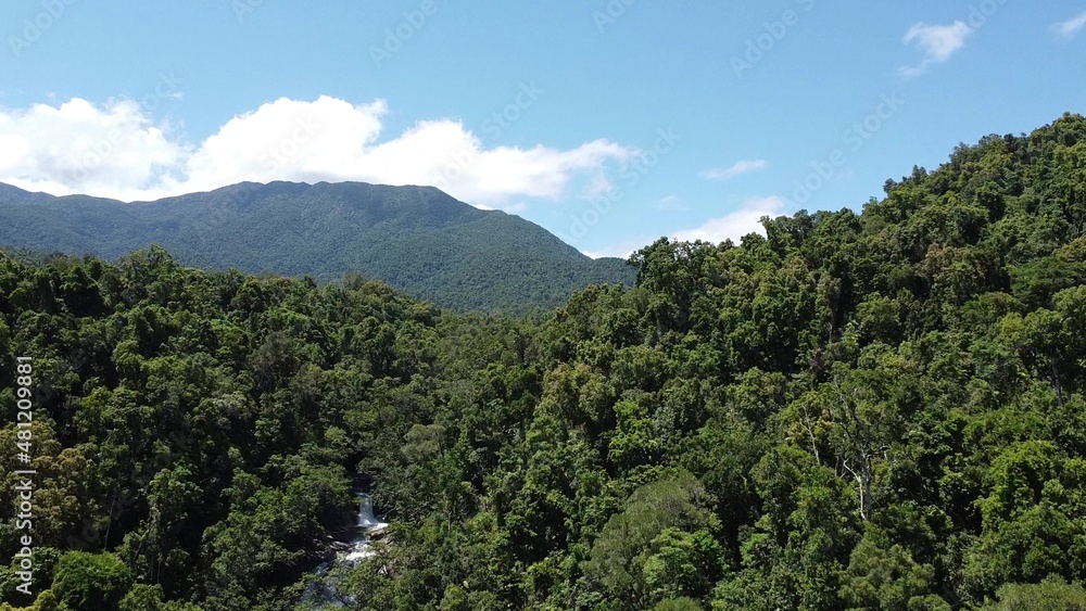 Aerial view of rainforest and Aerial view of rainforest and