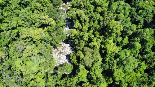 Aerial view down at the rainforest and river